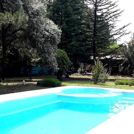 Casa Rural Entre Bodegas Y Vinedos ' El Jarillal" La Consulta Dış mekan fotoğraf