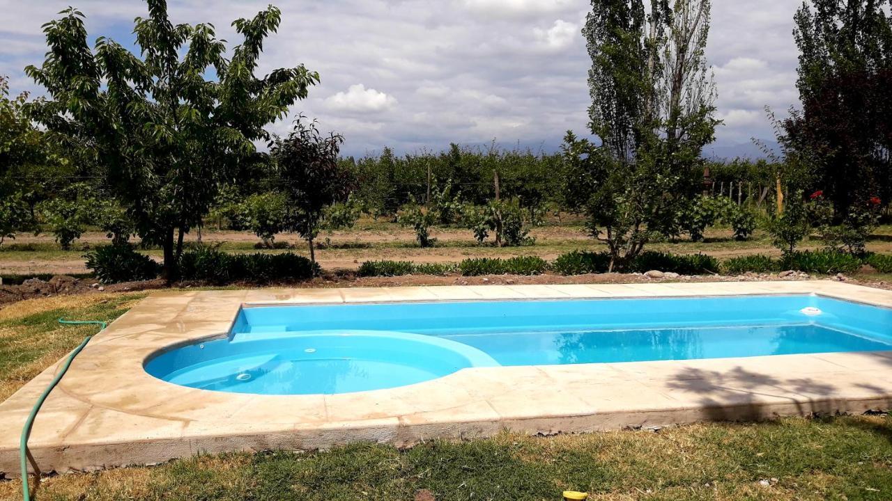 Casa Rural Entre Bodegas Y Vinedos ' El Jarillal" Konuk evi La Consulta Dış mekan fotoğraf