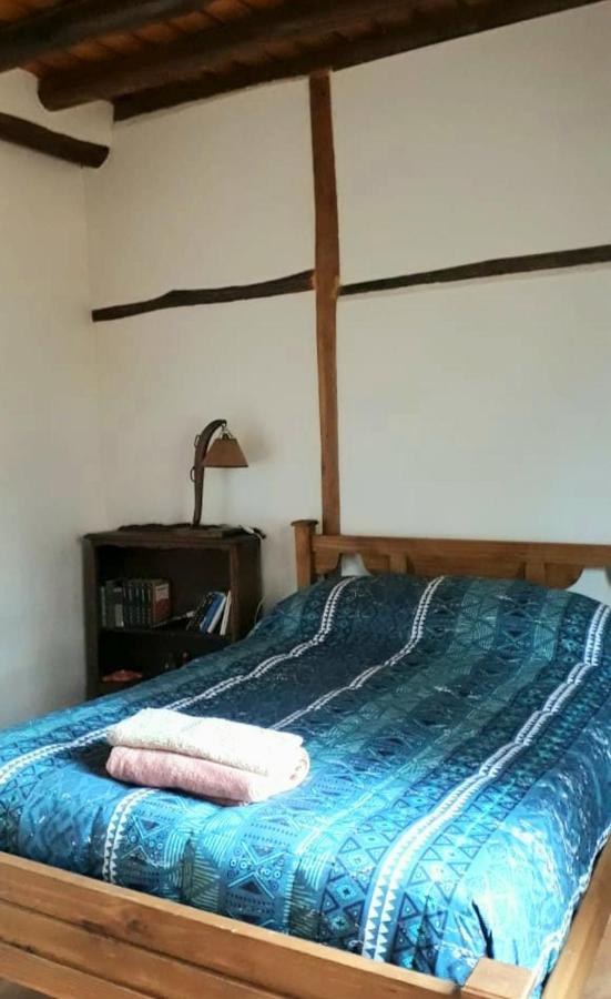 Casa Rural Entre Bodegas Y Vinedos ' El Jarillal" La Consulta Dış mekan fotoğraf