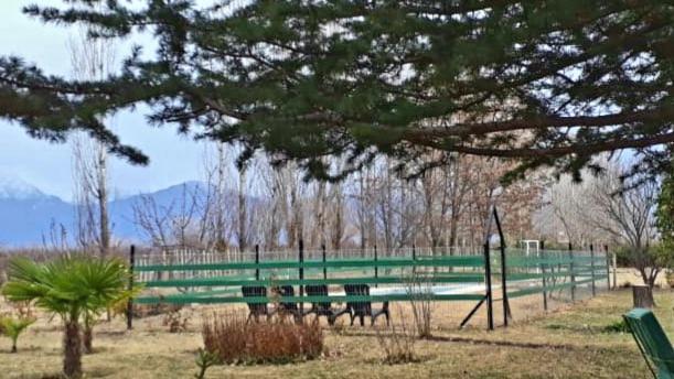 Casa Rural Entre Bodegas Y Vinedos ' El Jarillal" Konuk evi La Consulta Dış mekan fotoğraf