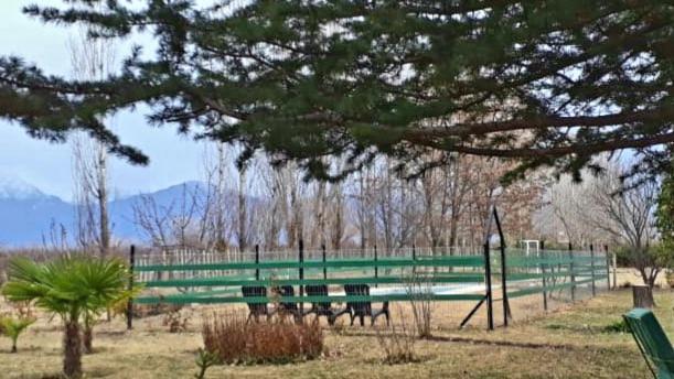 Casa Rural Entre Bodegas Y Vinedos ' El Jarillal" La Consulta Dış mekan fotoğraf