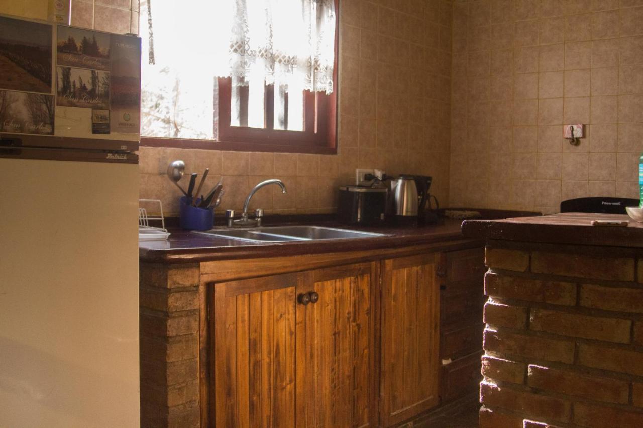 Casa Rural Entre Bodegas Y Vinedos ' El Jarillal" La Consulta Dış mekan fotoğraf
