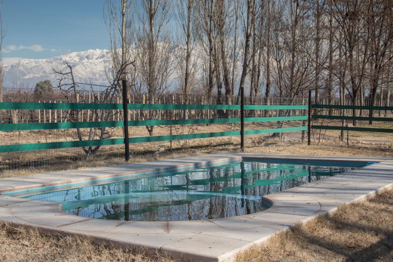 Casa Rural Entre Bodegas Y Vinedos ' El Jarillal" Konuk evi La Consulta Dış mekan fotoğraf