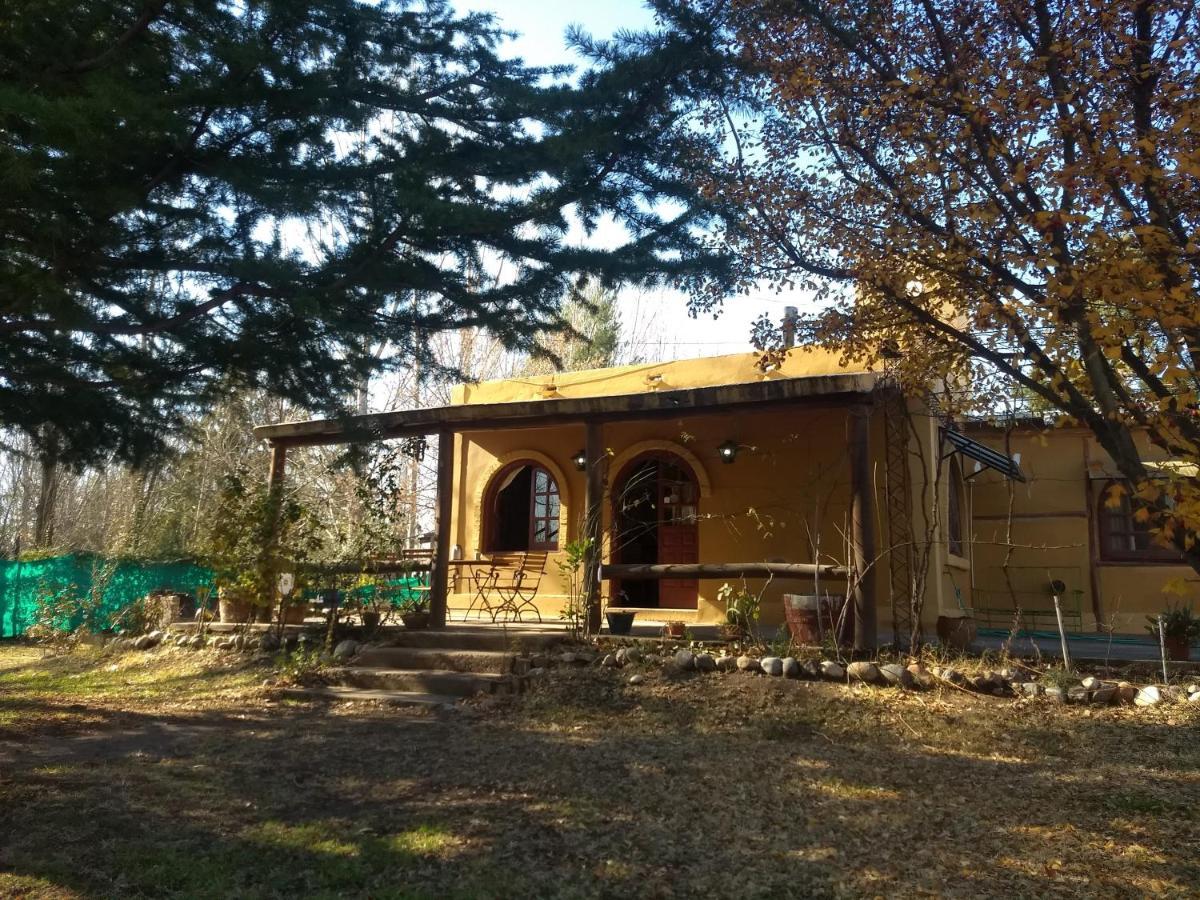 Casa Rural Entre Bodegas Y Vinedos ' El Jarillal" Konuk evi La Consulta Dış mekan fotoğraf