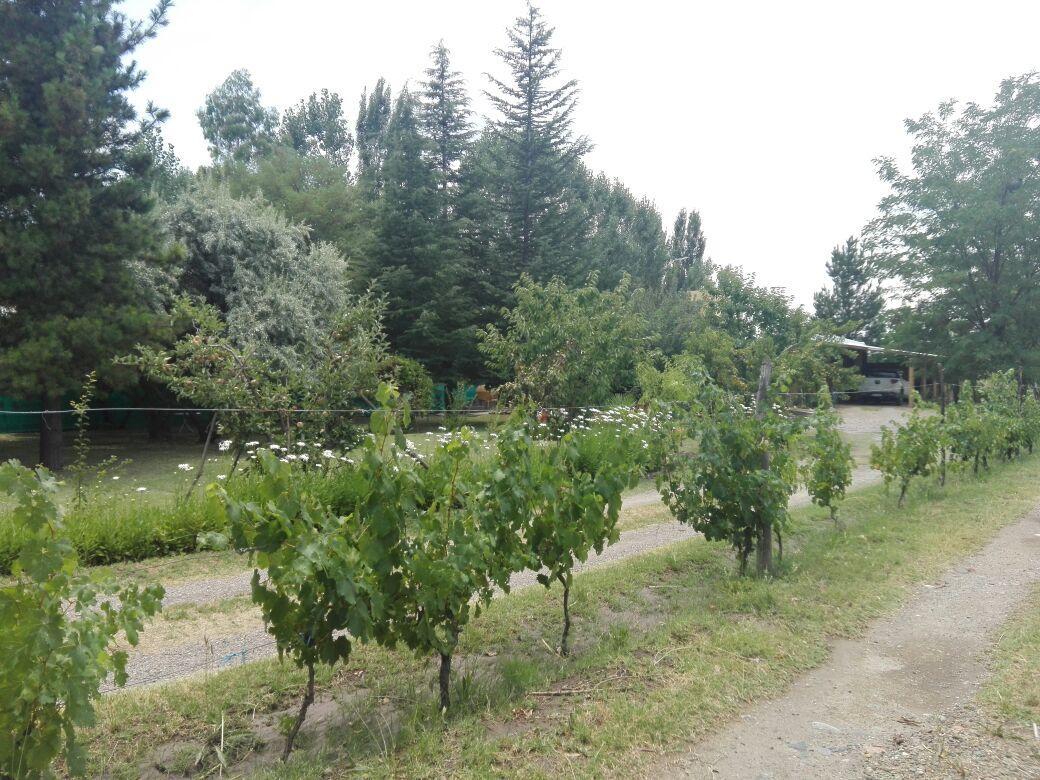 Casa Rural Entre Bodegas Y Vinedos ' El Jarillal" La Consulta Dış mekan fotoğraf