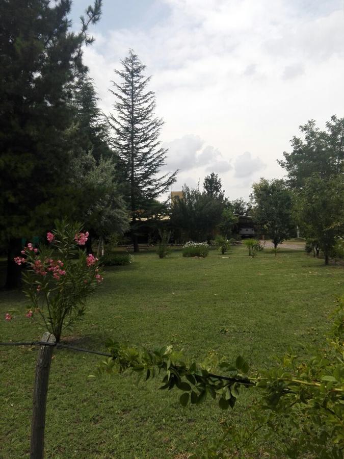 Casa Rural Entre Bodegas Y Vinedos ' El Jarillal" Konuk evi La Consulta Dış mekan fotoğraf