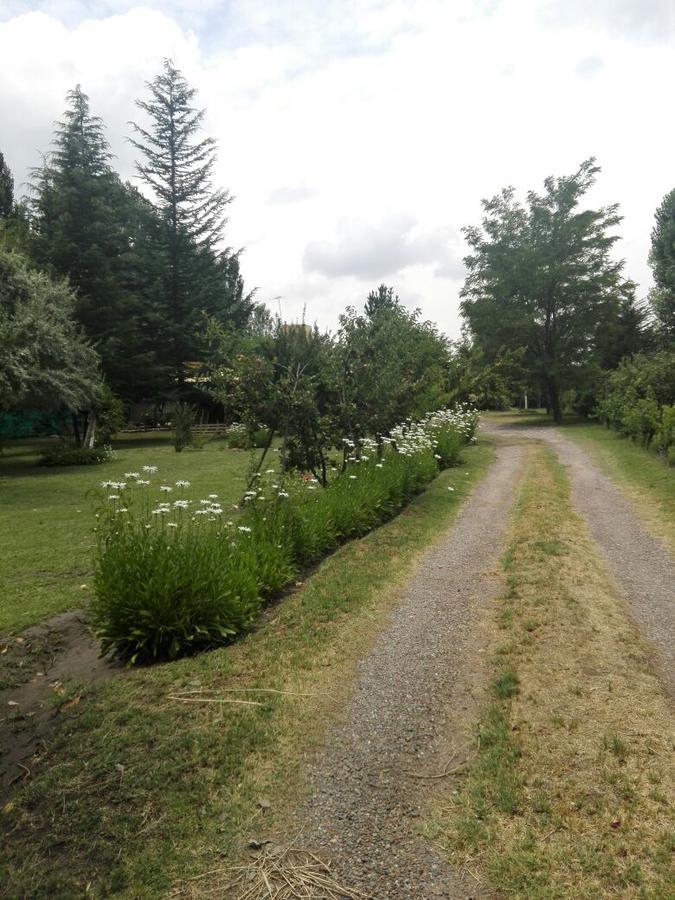 Casa Rural Entre Bodegas Y Vinedos ' El Jarillal" Konuk evi La Consulta Dış mekan fotoğraf